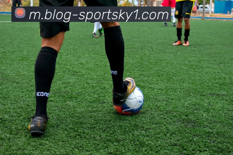 开云体育APP 封面图